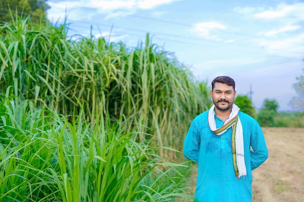 Agricultor indiano em canavial