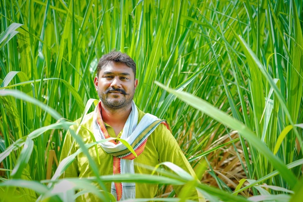 Agricultor indiano em canavial