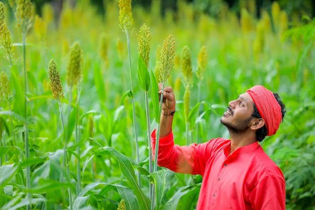 Agricultor indiano em um campo de sorgo