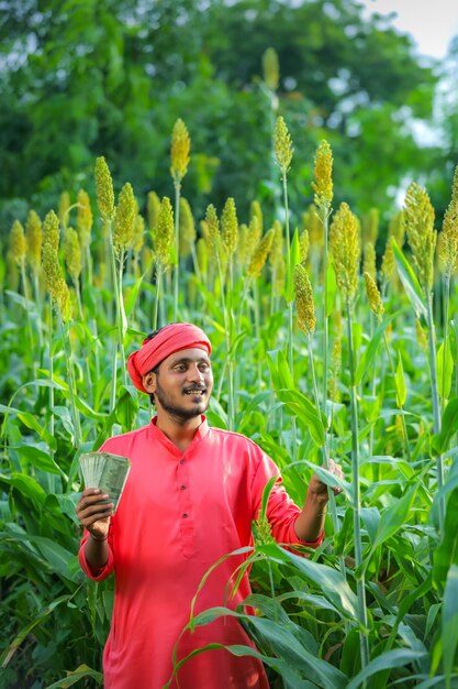 Agricultor indiano em um campo de sorgo