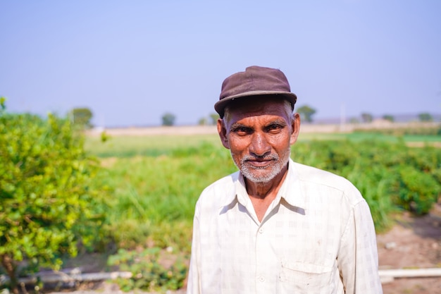 Agricultor indiano no campo de pimentão verde