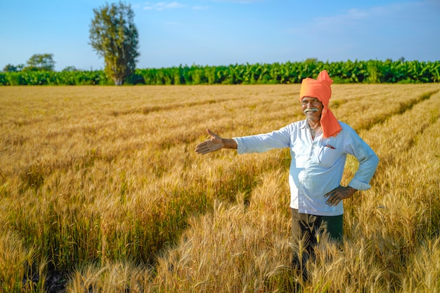 Agricultor indiano no campo de trigo dourado