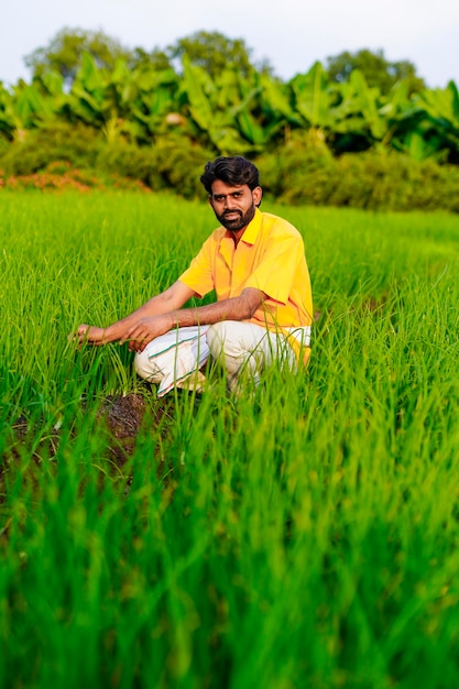 Agricultor indiano no campo de vegetais