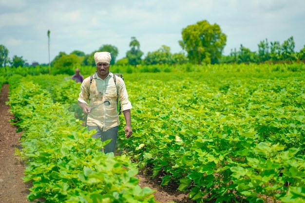 Agricultor indiano pulverizando pesticida em campo de algodão