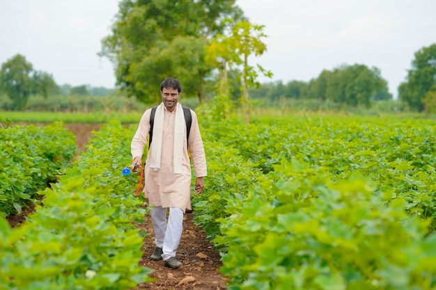 Agricultor indiano pulverizando pesticida em um campo de algodão.