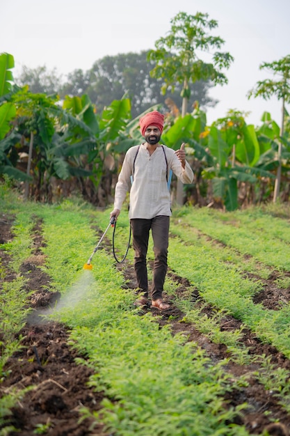 Agricultor indiano pulverizou fertilizante no campo de grama verde