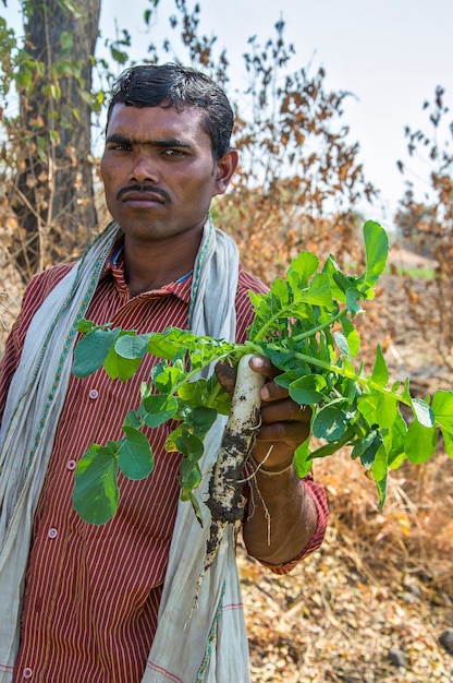 Agricultor indiano segurando rabanete nas mãos na fazenda orgânica