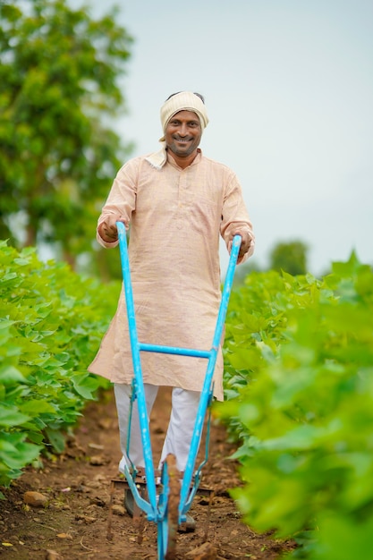 Agricultor indiano trabalhando no campo de agricultura de algodão verde.