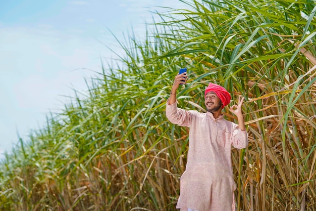 Agricultor indiano usando smartphone no campo de agricultura de cana-de-açúcar.