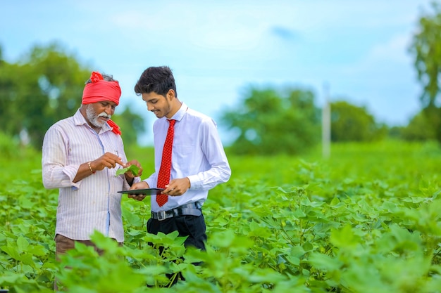 Agricultor indio con agrónomo en el campo de algodón, mostrando información en la pestaña