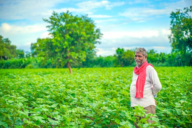 Agricultor indio en campo de algodón