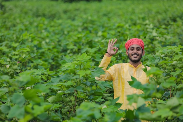 Agricultor indio en campo de algodón