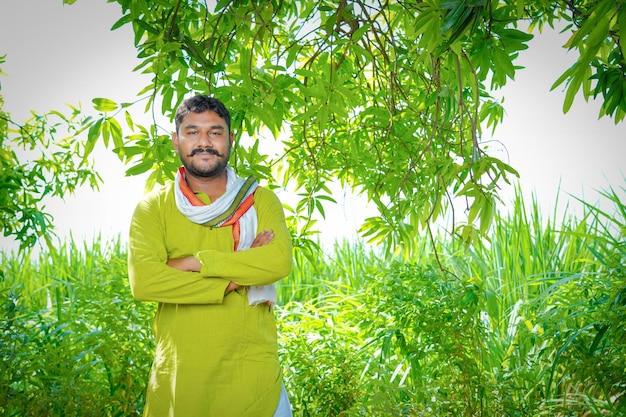 Agricultor indio en el campo de caña de azúcar