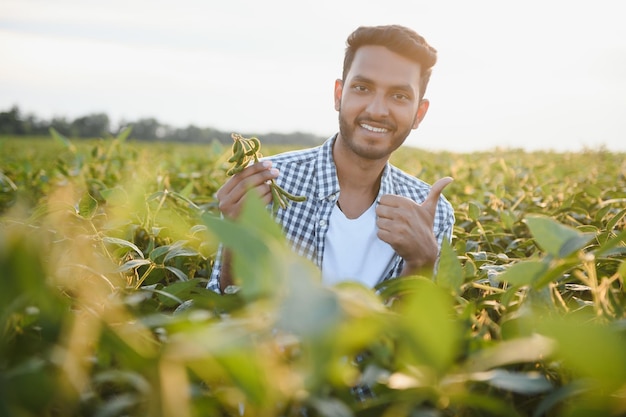 Un agricultor indio en un campo de soja.