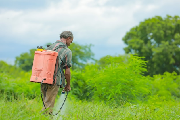 Agricultor indio y mano de obra rociando pesticidas en el campo