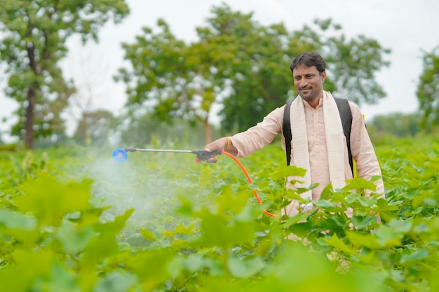 Agricultor indio rociando pesticidas en el campo de algodón.