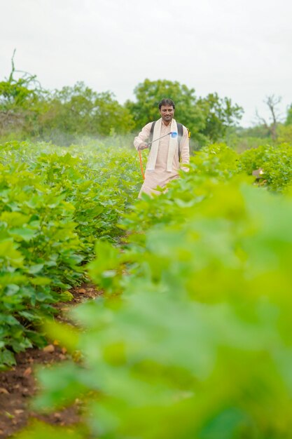 Agricultor indio rociando pesticidas en el campo de algodón.