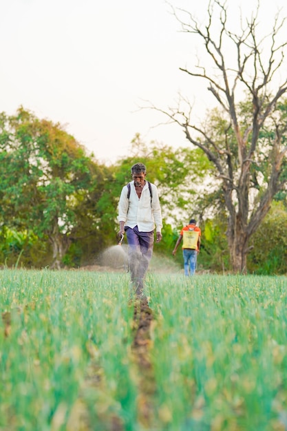 Agricultor indio rociar pesticidas en campo de cebolla verde