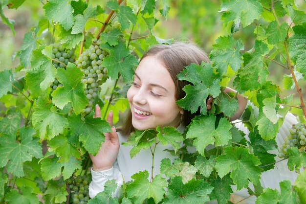 Agricultor infantil colhendo uvas verdes maduras em vinhedos crianças felizes colhendo uvas na fazenda de vinhos ag