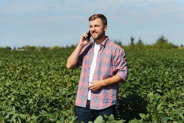 Un agricultor inspecciona un campo de soja verde. El concepto de la cosecha