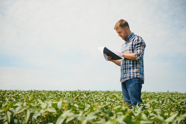 Un agricultor inspecciona un campo de soja verde El concepto de la cosecha