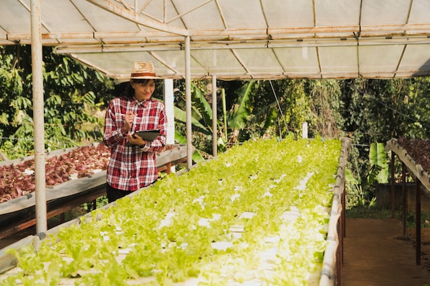 Agricultor inteligente e conceito de produtos vegetais; Jardineiro feminino, verificando recentemente plantas na fazenda com tablet e usando o aplicativo para fazenda inteligente de suporte