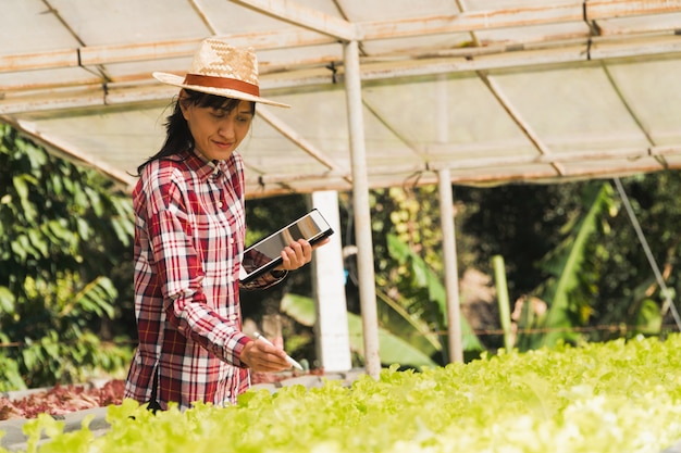 Agricultor inteligente e conceito de produtos vegetais; Jardineiro feminino, verificando recentemente plantas na fazenda com tablet e usando o aplicativo para fazenda inteligente de suporte