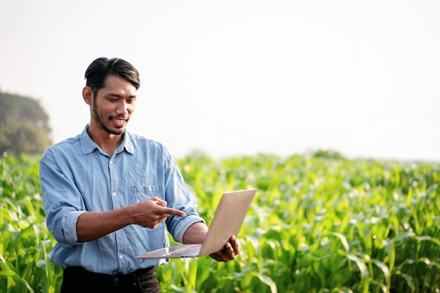 Agricultor inteligente que usa una computadora portátil para examinar la cantidad y la calidad de la cosecha