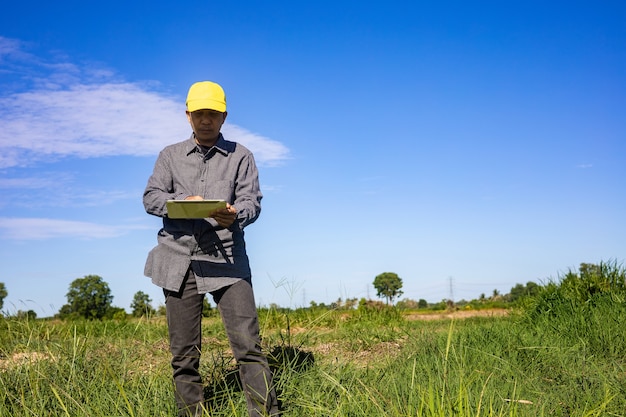 El agricultor inteligente usa una tableta para monitorear y analizar los cultivos en su granja durante un día soleado.