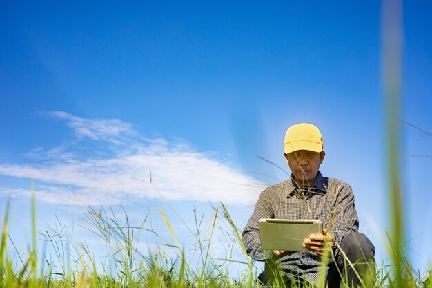 El agricultor inteligente usa una tableta para monitorear y analizar los cultivos en su granja durante un día soleado.