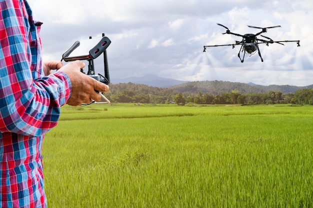 Agricultor inteligente usando drone agrícola de controle de tablet voar para pulverizar fertilizante ou inseticida nos campos de arroz