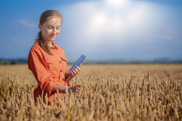 Agricultor investigando la planta en el campo de trigo en su mano sostiene un tubo de vidrio que contiene la sustancia de prueba