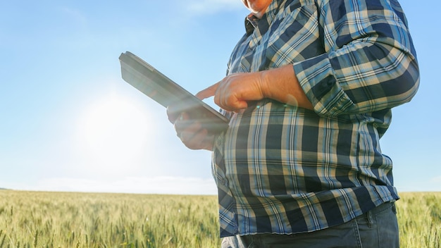 Agricultor irreconocible hojeando tableta en el campo