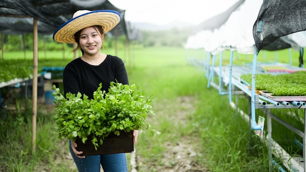 Agricultor jovem asiático segura uma caixa de madeira cheia de vegetais de uma horta orgânica.
