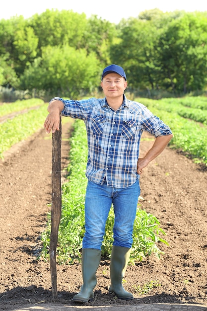 Agricultor maduro com enxada em pé no campo no campo