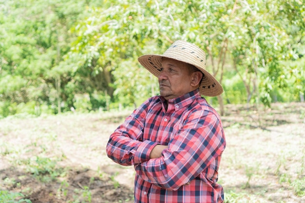 Agricultor maduro sozinho em sua colheita