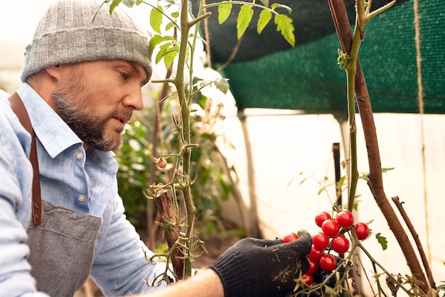 Foto agricultor masculino cultivando y cosechando verduras al aire libre