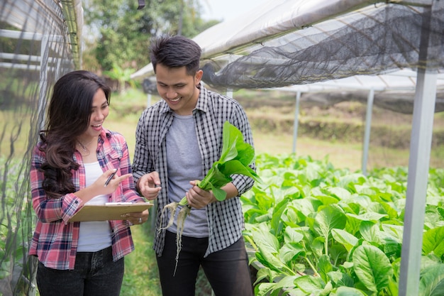 Agricultor masculino e feminino na fazenda hidrofônica moderna