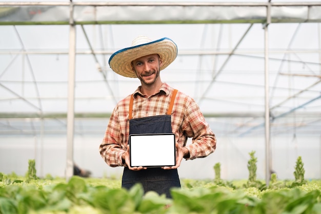 Agricultor masculino em avental segurando tablet digital com pé de tela vazia em estufa hidropônica