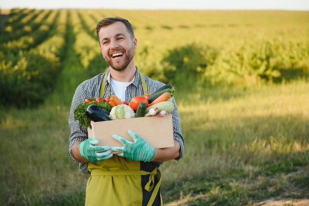 Agricultor masculino sosteniendo una caja con verduras en el campo