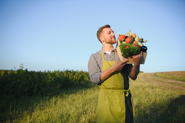 Agricultor masculino sosteniendo una caja con verduras en el campo