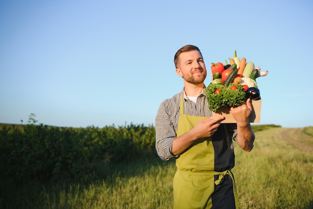 Agricultor masculino sosteniendo una caja con verduras en el campo