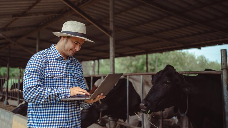 Foto agricultor masculino usando laptop verificando seu gado e a qualidade do leite na fazenda de gado leiteiro conceito de agricultura e pecuária da indústria agrícola vaca na fazenda de gado leiteiro comendo fenocowshed