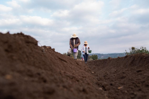 Agricultor mexicano contribuye al desarrollo a través de la siembra de frijol