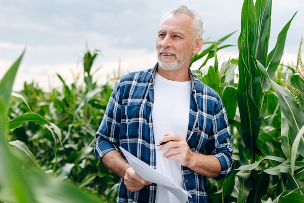 Agricultor moderno trabalha em um campo de milho, segurando documentos nas mãos