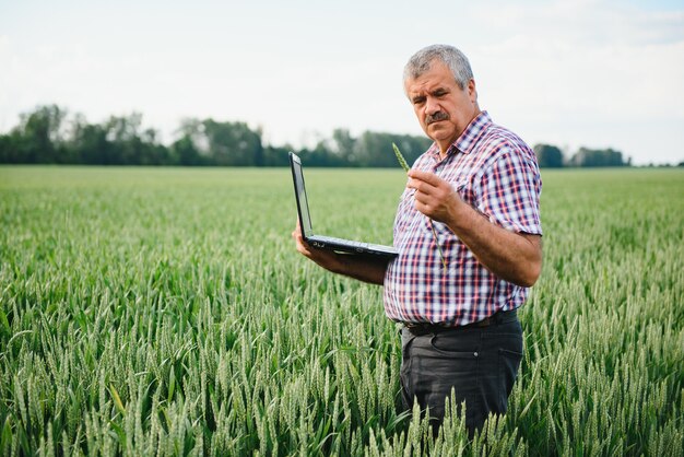 Agricultor moderno verificando seu campo de trigo e trabalhando em um laptop