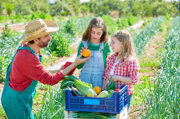 Agricultor, mostrando, legumes, colheita, para, criança, meninas