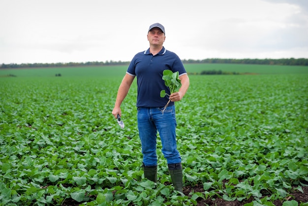 Agricultor no campo cuidando das colheitas