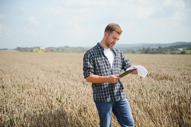 Agricultor no campo de trigo com colheitadeira