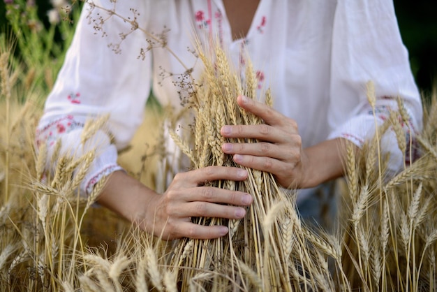 Agricultor no campo trigo nas mãos espigas nas mãos